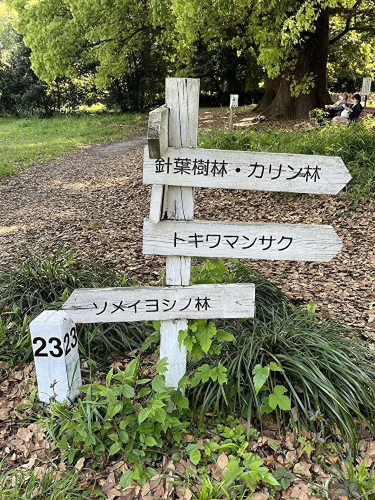 新緑の小石川植物園への画像_12