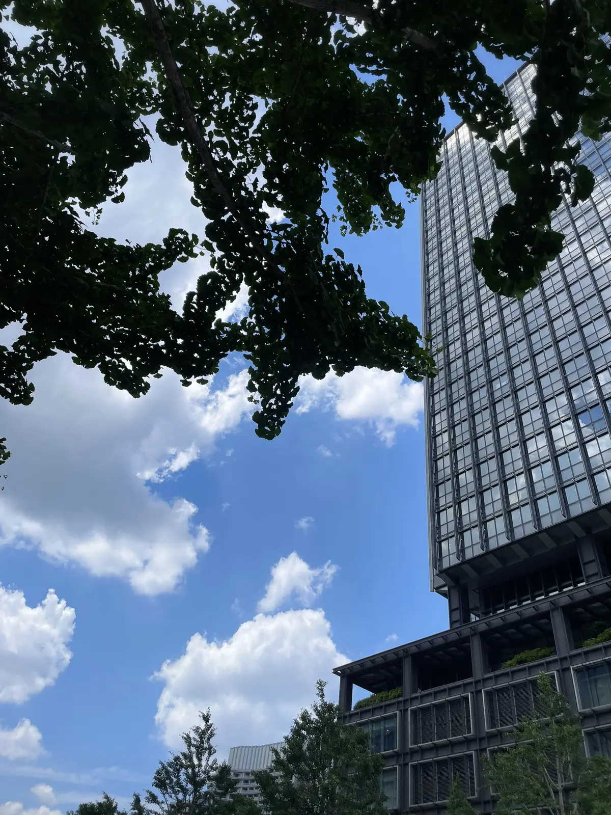 夏のおしゃれSNAP〜マイベストスタイルの画像_1