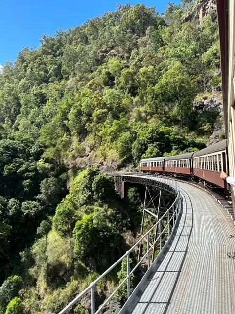 カーブ時に、車窓から見える、熱帯雨林中を100年以上歴史のある木製車両が走る姿が美しい