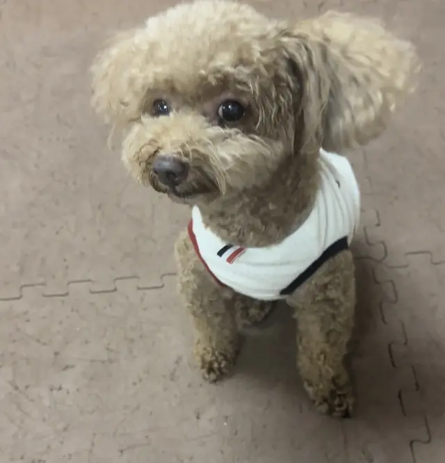 11月7日は、息子チッドくんの誕生日！の画像_2