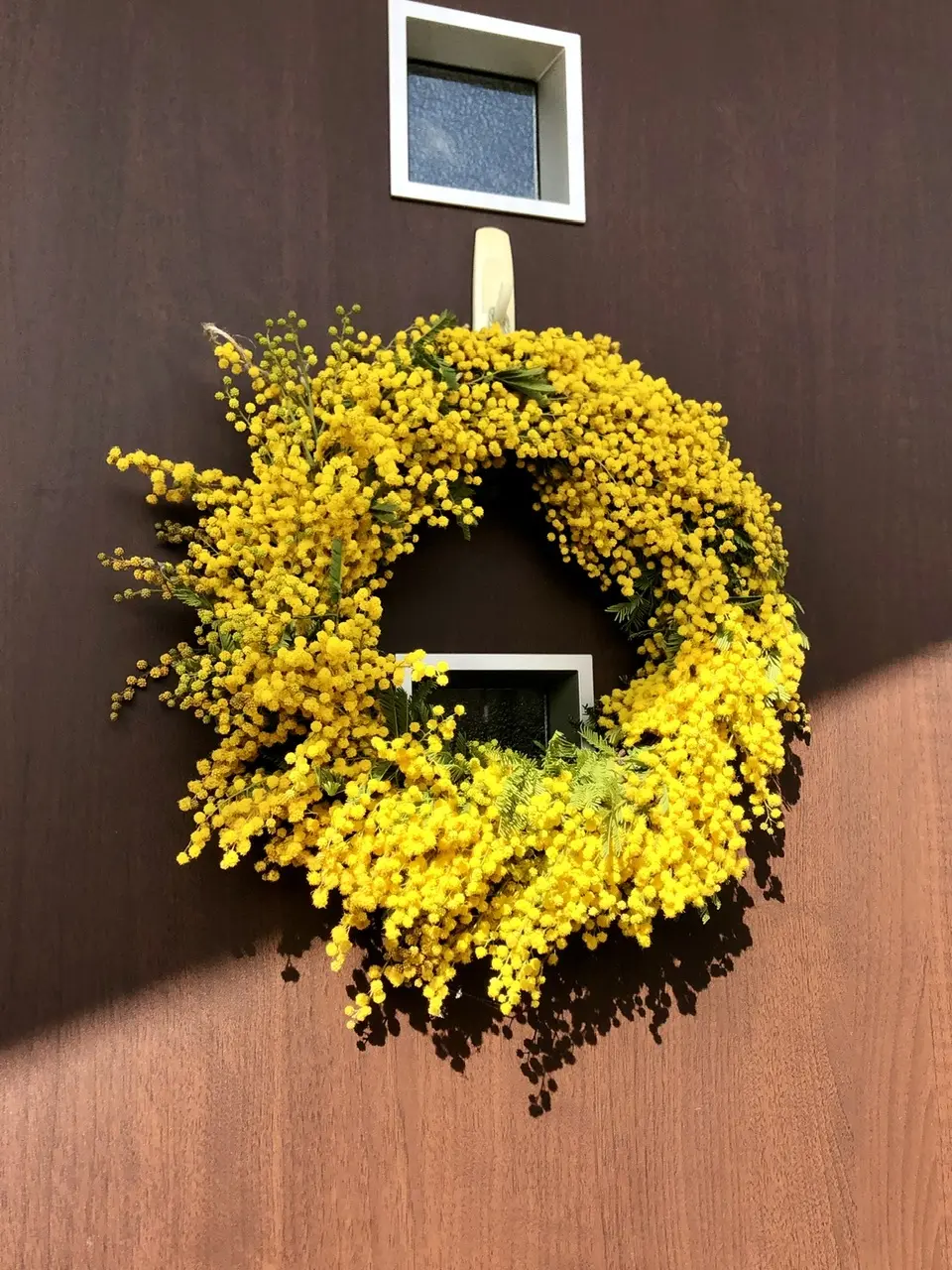 Mimosa Day 2024！！！の画像_2