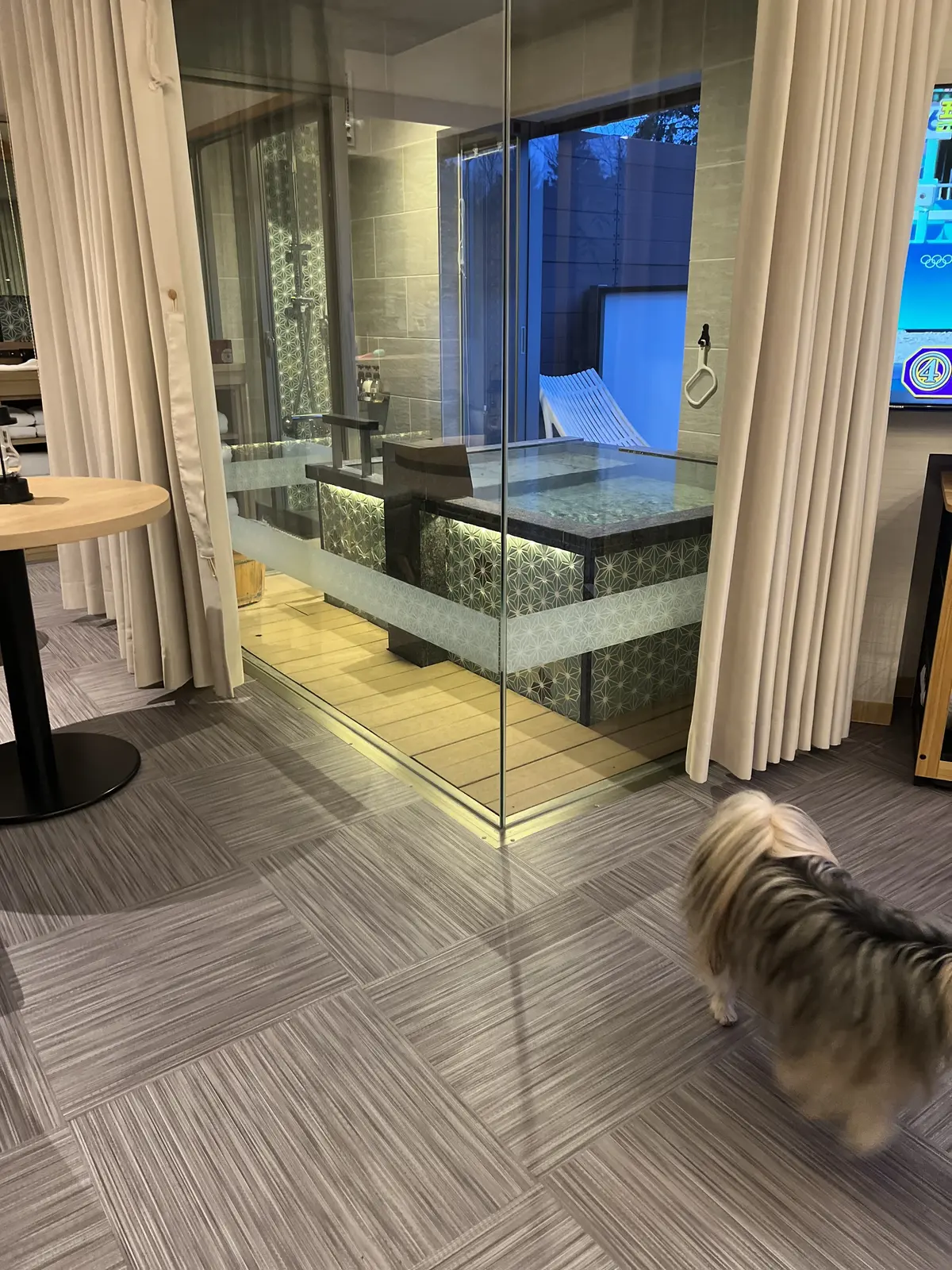 箱根わんこ亭ゆにわ