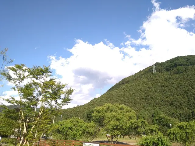 森のカフェで過ごすスローな時間♡の画像_10