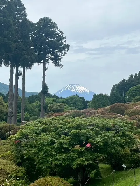 箱根新スポット　絶景の芦ノソラへの画像_3