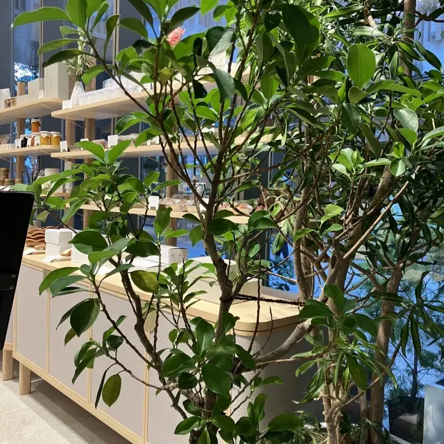 お気に入りパティスリーpaysageの画像_5