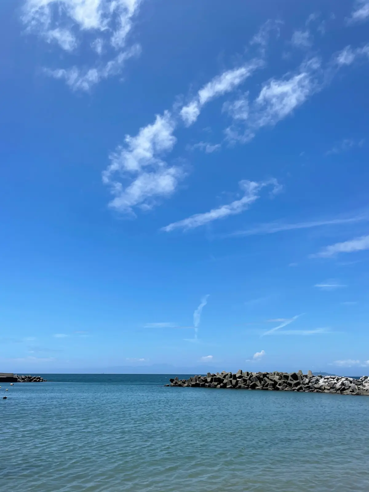 わんこと夏のお出かけin葉山の画像_1