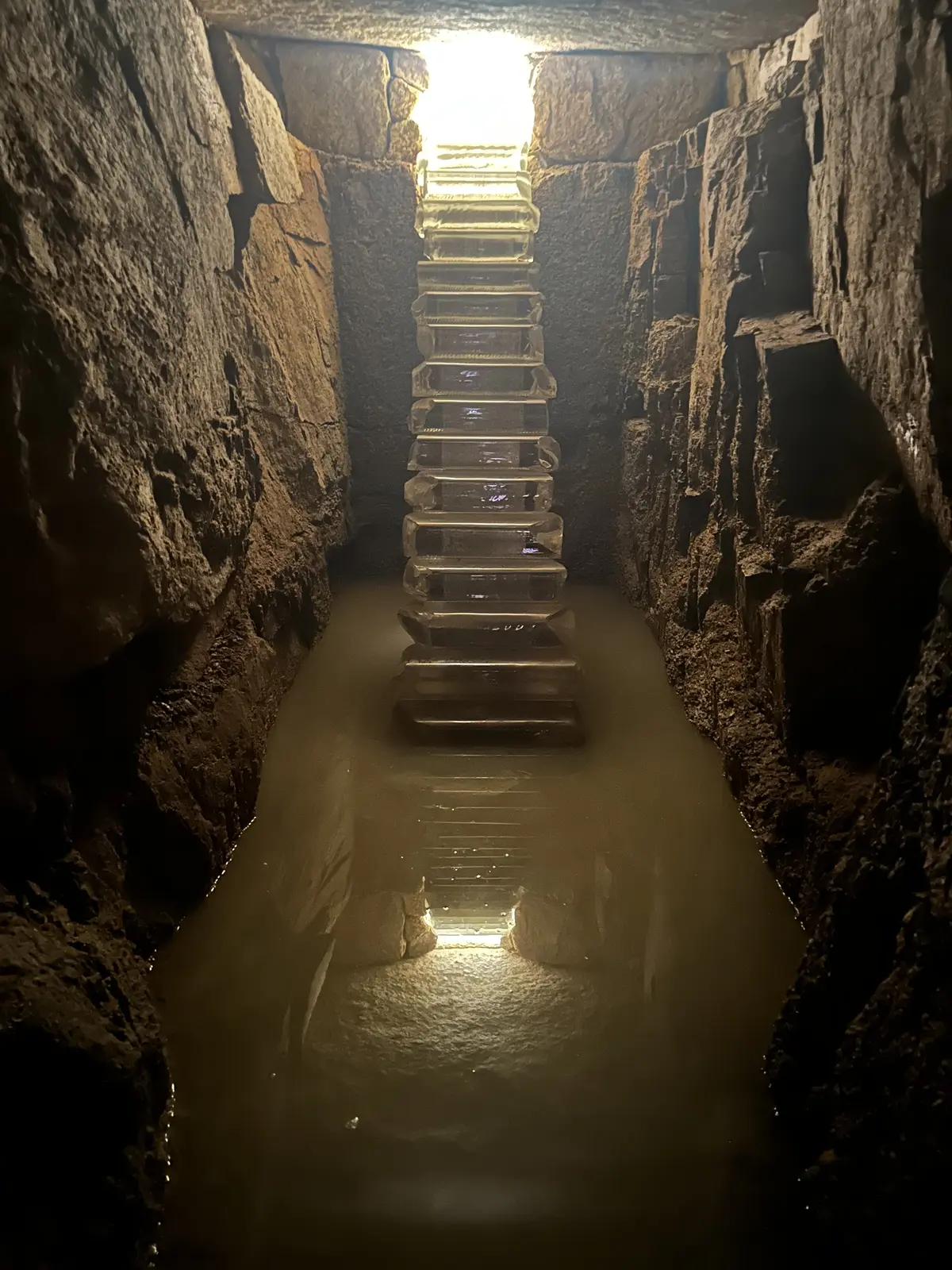 【母妹と直島アートの旅　DAY2】の画像_27