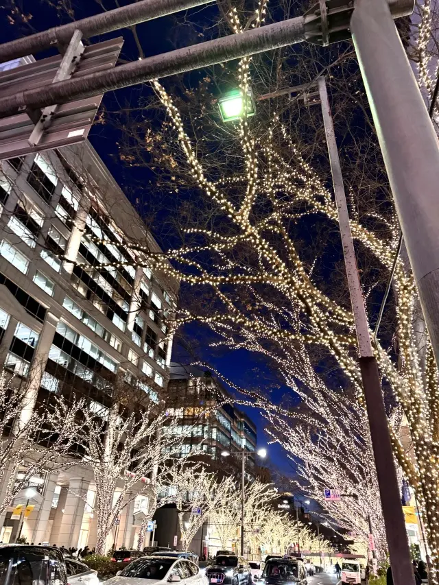 真紅のバラ🌹カルティエの嬉しいプレゼントの画像_7