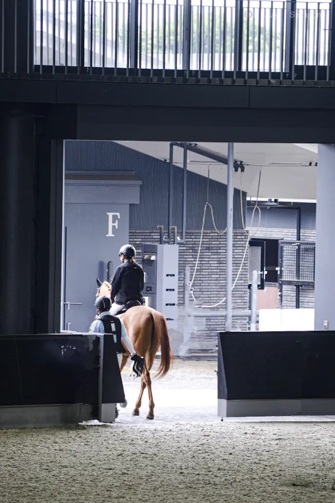 【感動の馬事公苑🐴✨】悪友の応援に参上🥸の画像_6