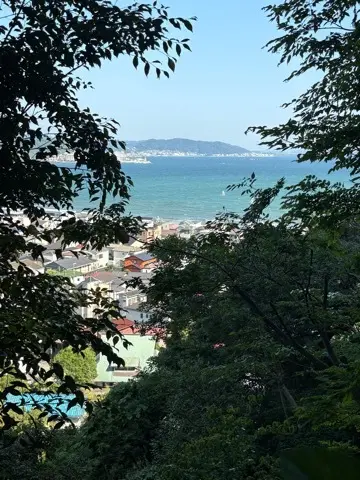 鎌倉紫陽花と続・続・最後から二番目の恋ロの画像_2