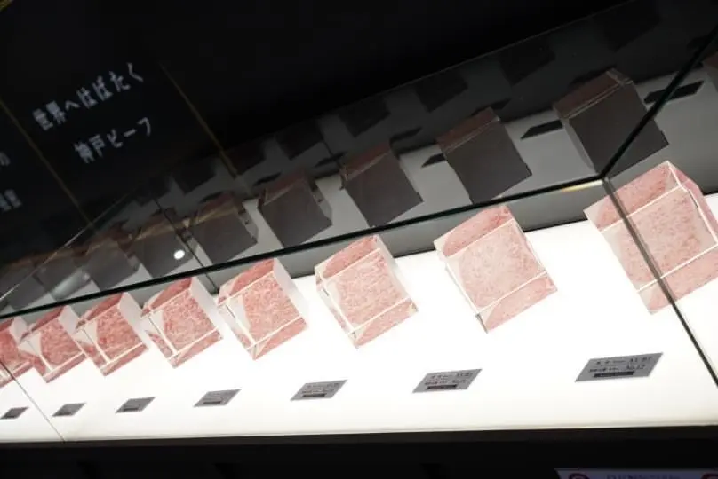 和牛のルーツの画像_5