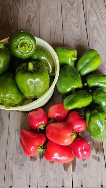 パプリカとピーマンの画像_1