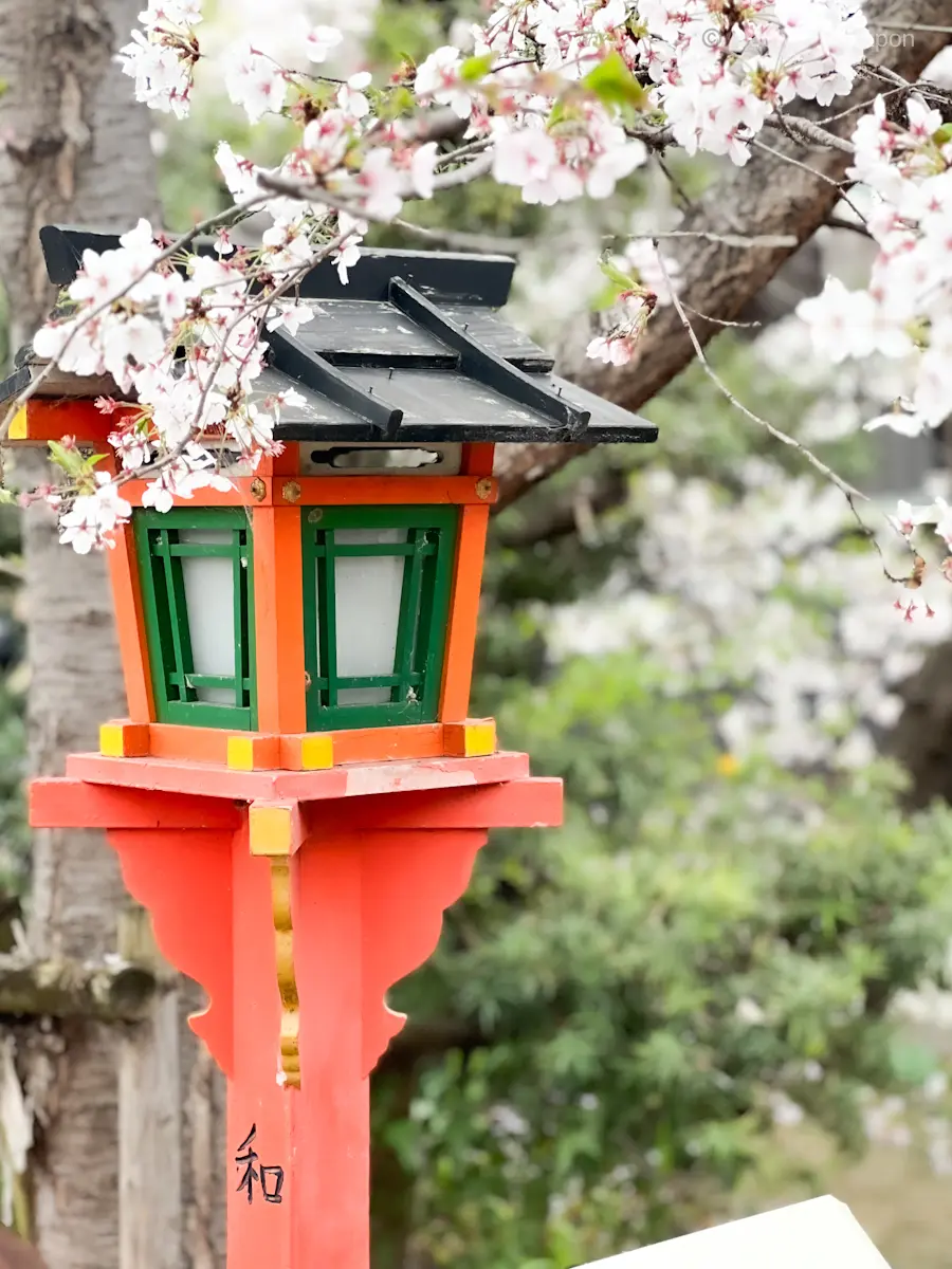 【そうだ!京都 行こう】桜パフェ食べにきの画像_1