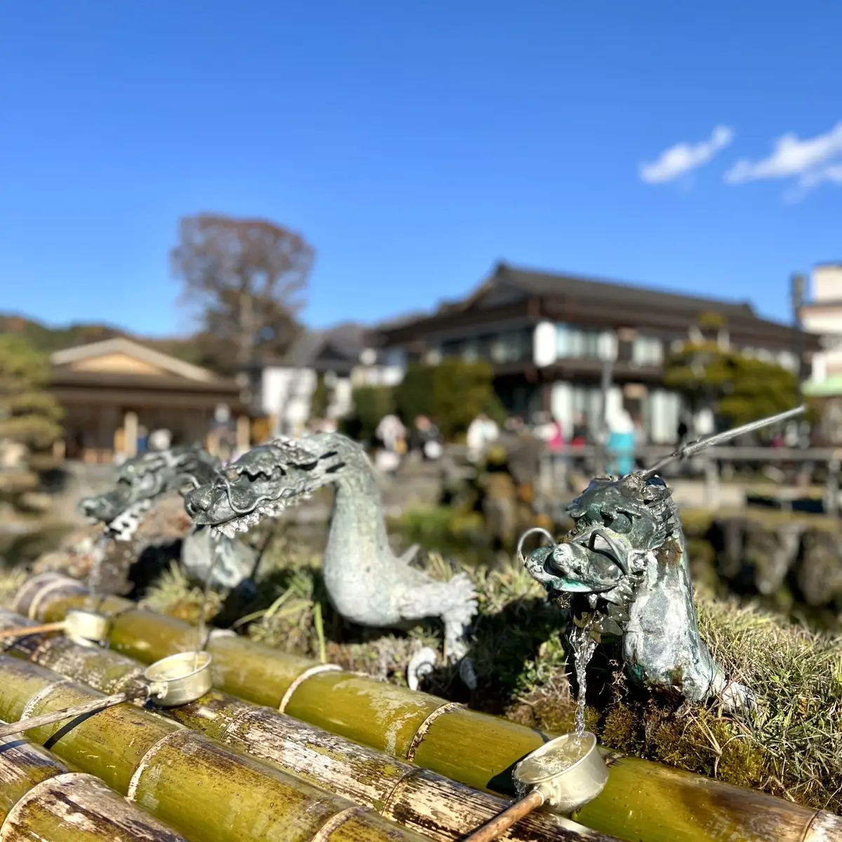 忍野八海「中池」