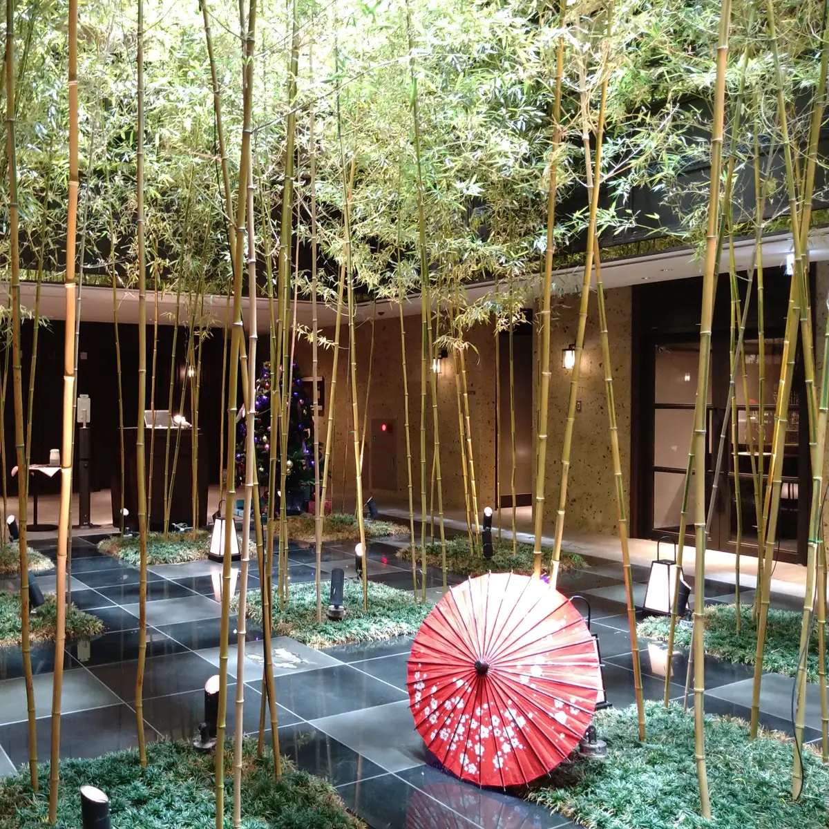 ☆結婚記念日＆クリスマス☆　祇園もりわきの画像_30