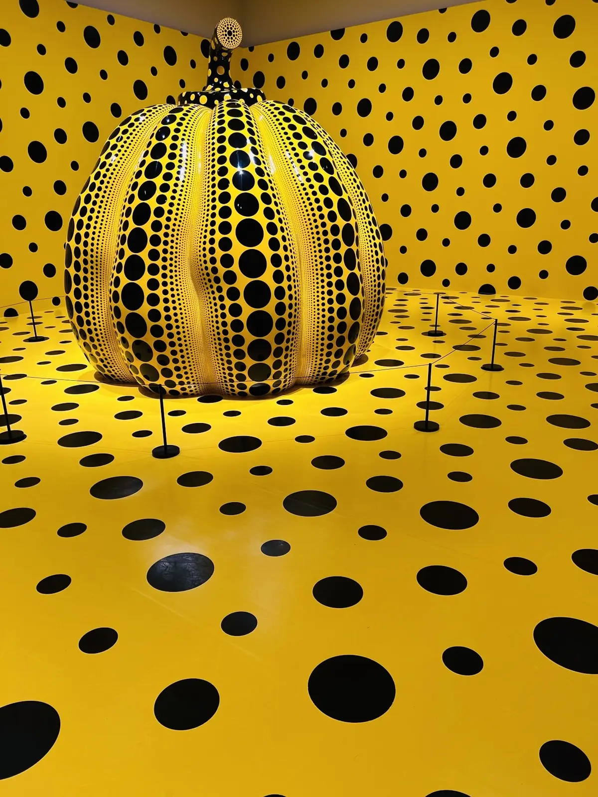 大いなる南瓜　2017年