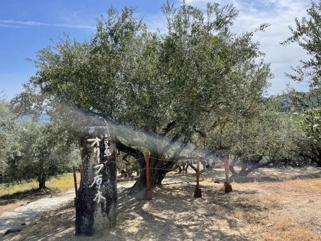 とっておきワンピースでフォトジェニックなの画像_1