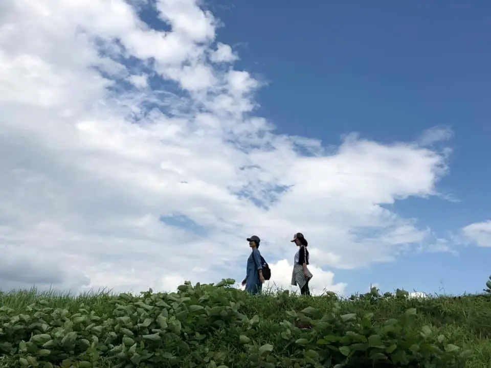 2020年度新華組メンバーの内藤亜弥ですの画像_2