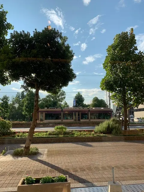 夏のウオーキング　懐かしの浜寺公園へ・・の画像_2