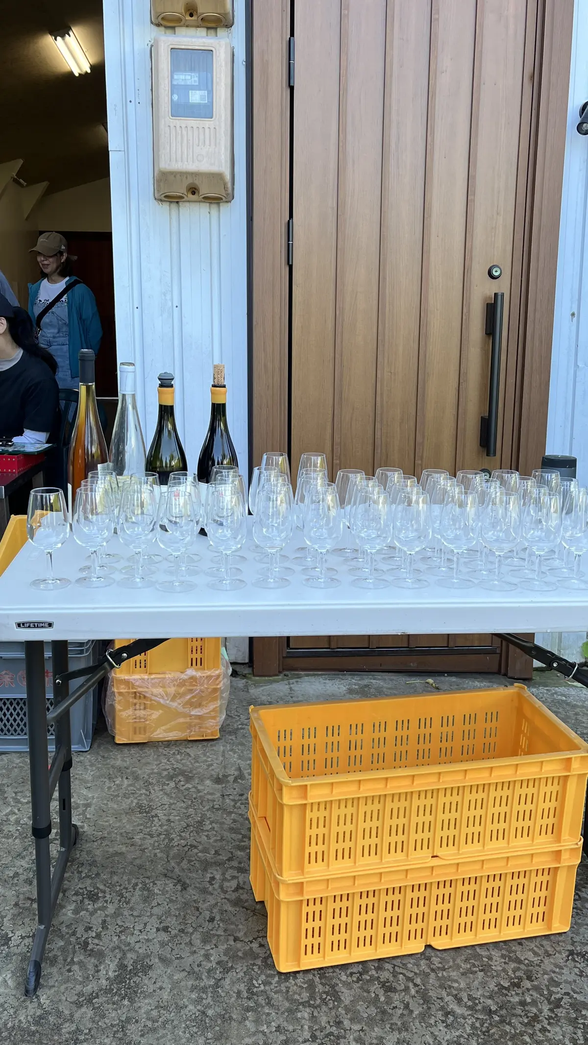 世界に誇る超人気ワイナリーでワイン用ぶどの画像_3