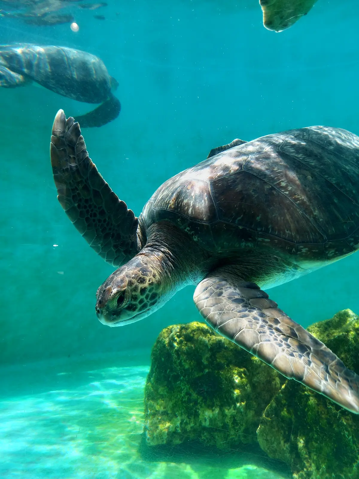 【沖縄】大人の修学旅行♡王道スポット＆沖の画像_11
