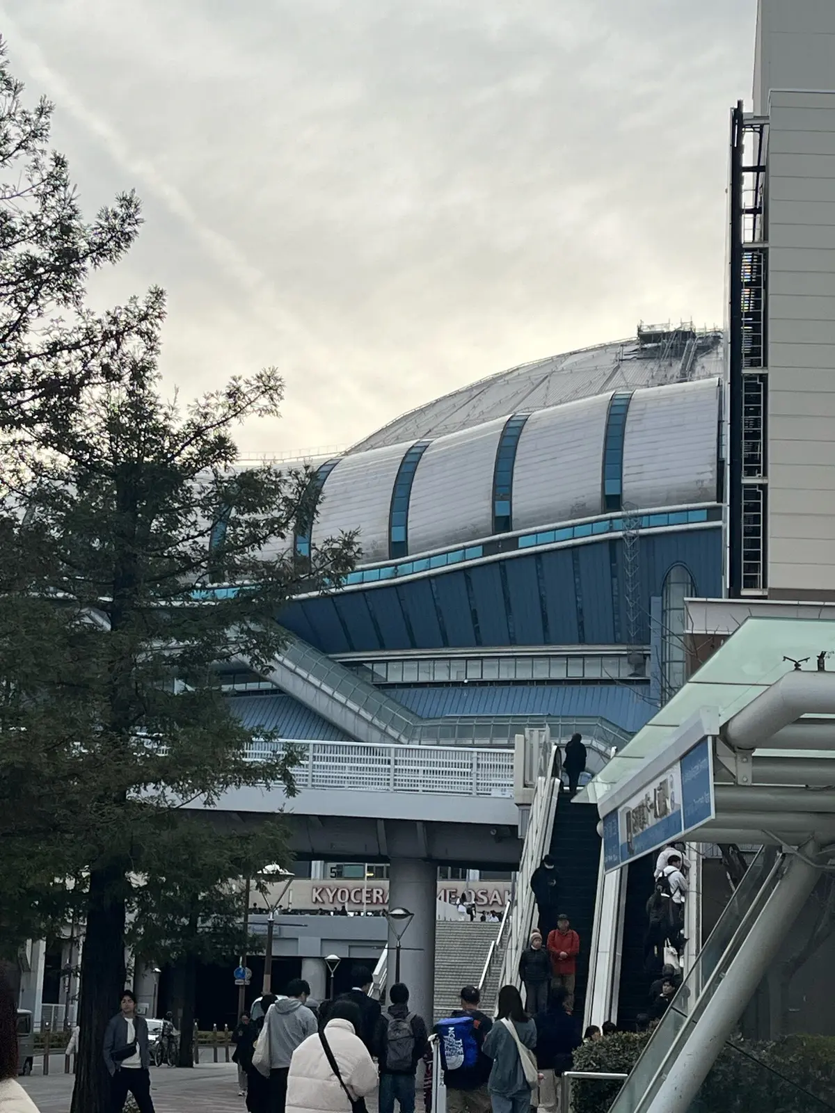 【おひとりさま】侍ジャパンを目の前で！！の画像_1