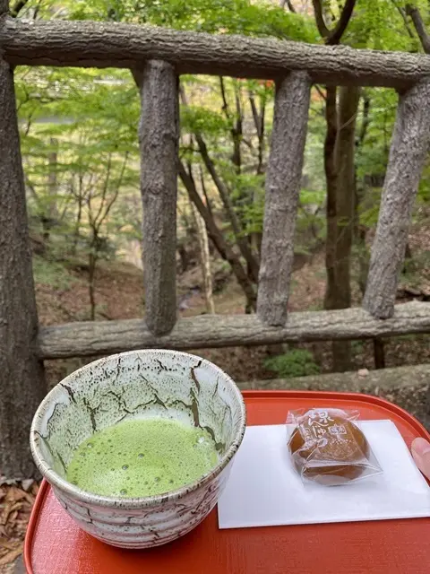 塩谷温泉バスの野点