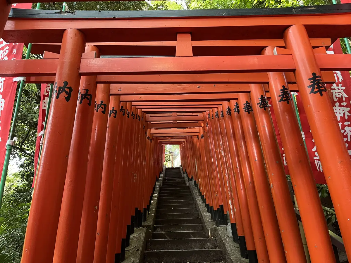 【赤坂】R7上半期最後の週末の画像_5