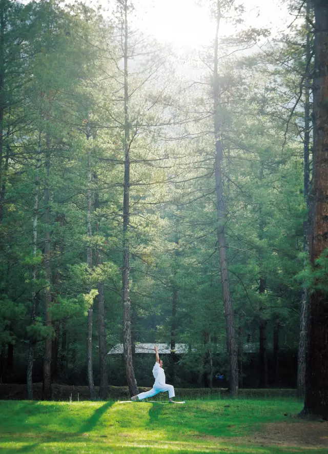 日曜日を除く毎日、ヨガの無料クラスも開催される。ヨガインストラクターは、チャインガ・ドルジさん