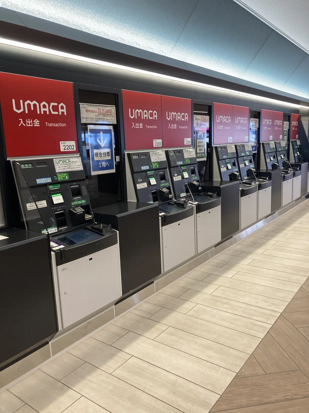 京都競馬場に行ってきました。の画像_8