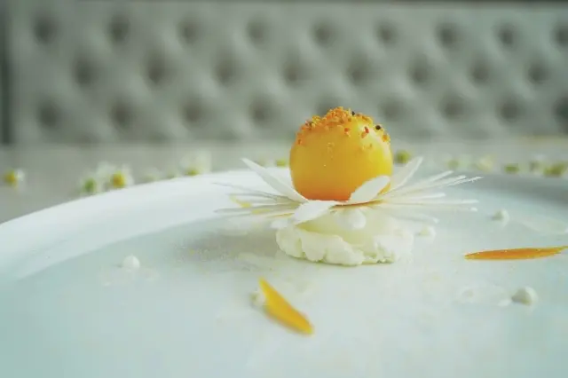 エスト_カモミール 蜂蜜