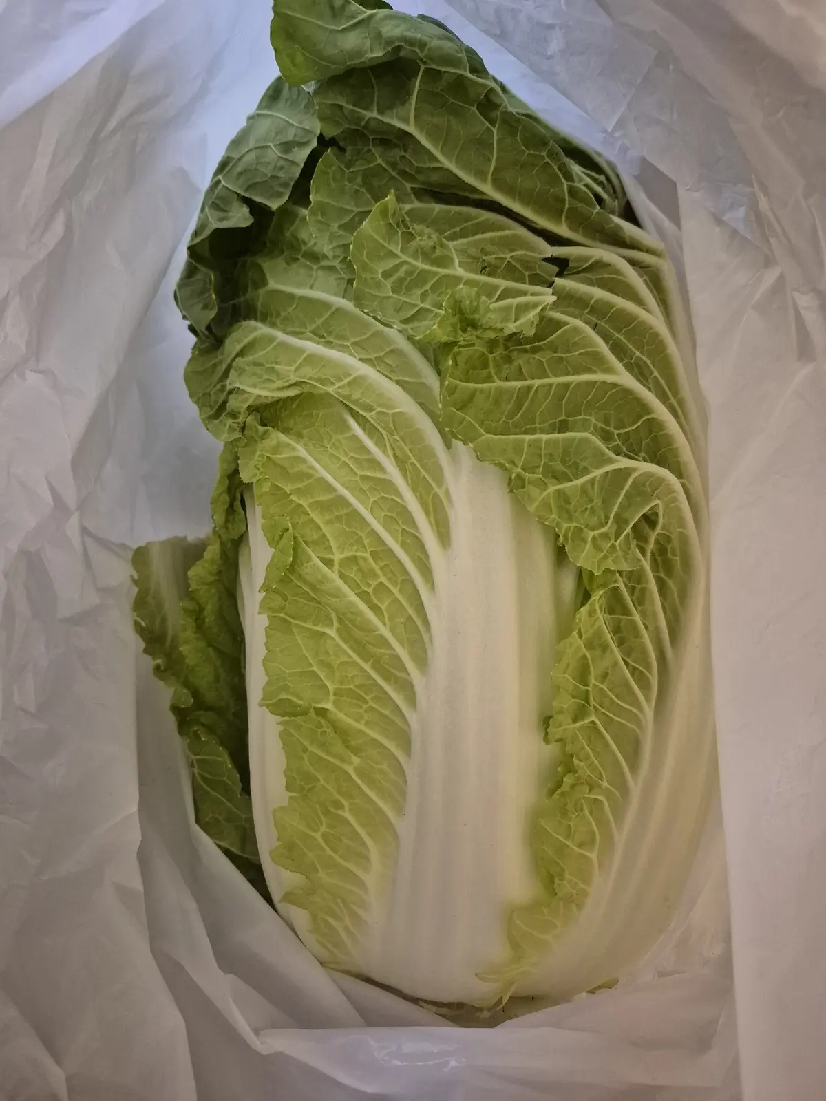 早朝の丸の内＆ドキドキのミステリーツアーの画像_4