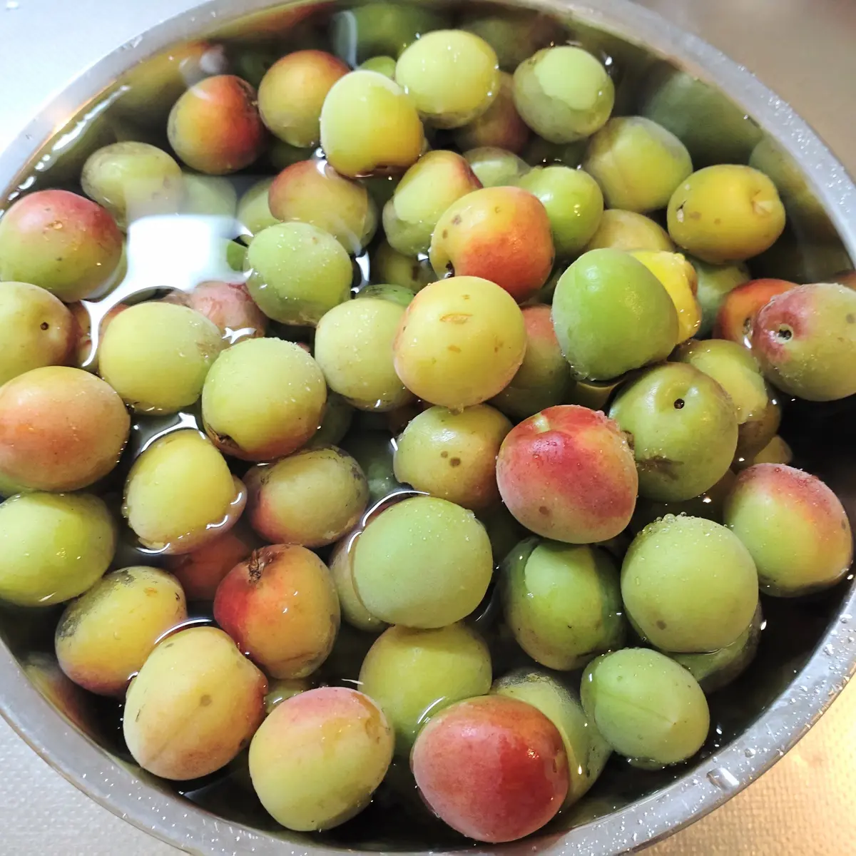 梅　発酵梅シロップ　甜菜糖　発酵食品