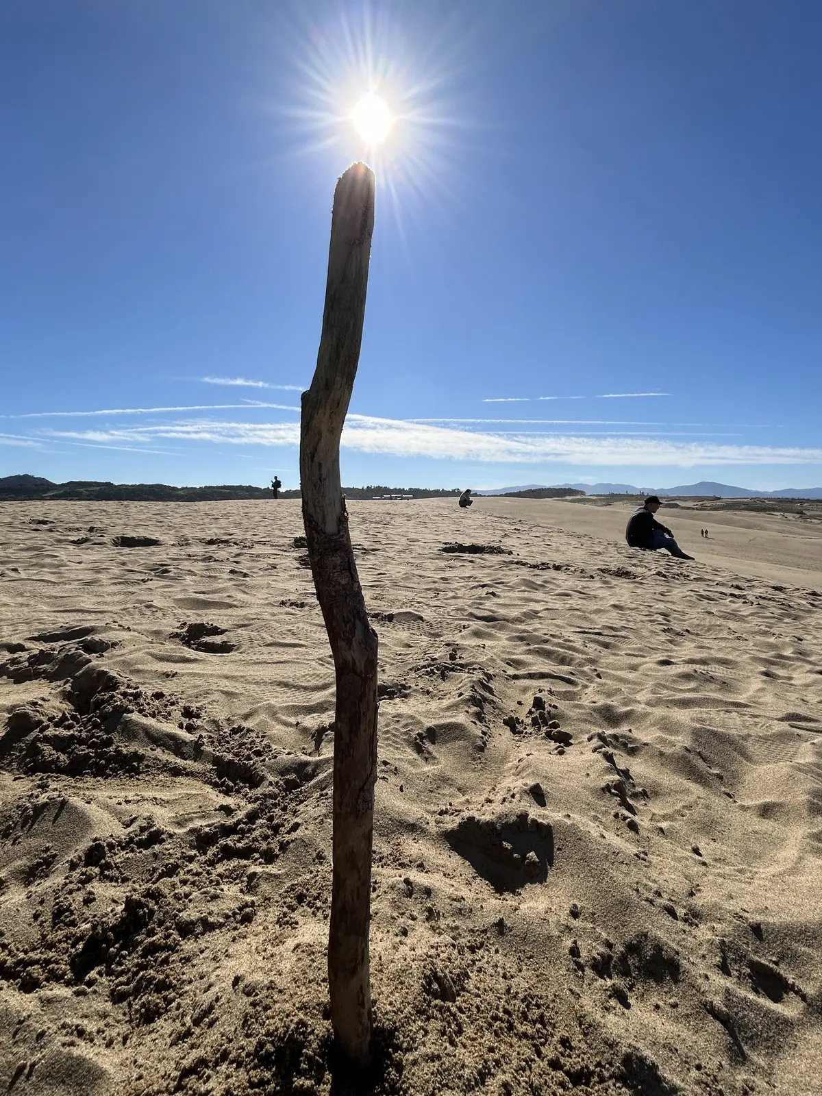 秋の遠足 -11月の鳥取でリフレッシュの画像_7