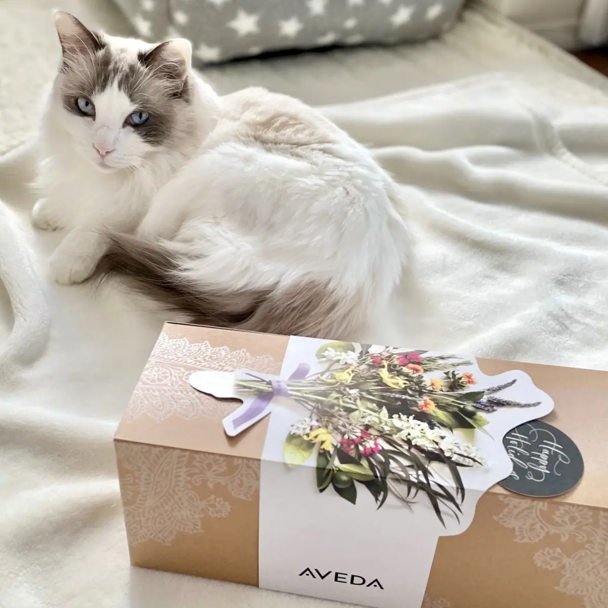 猫とアヴェダギフトボックス