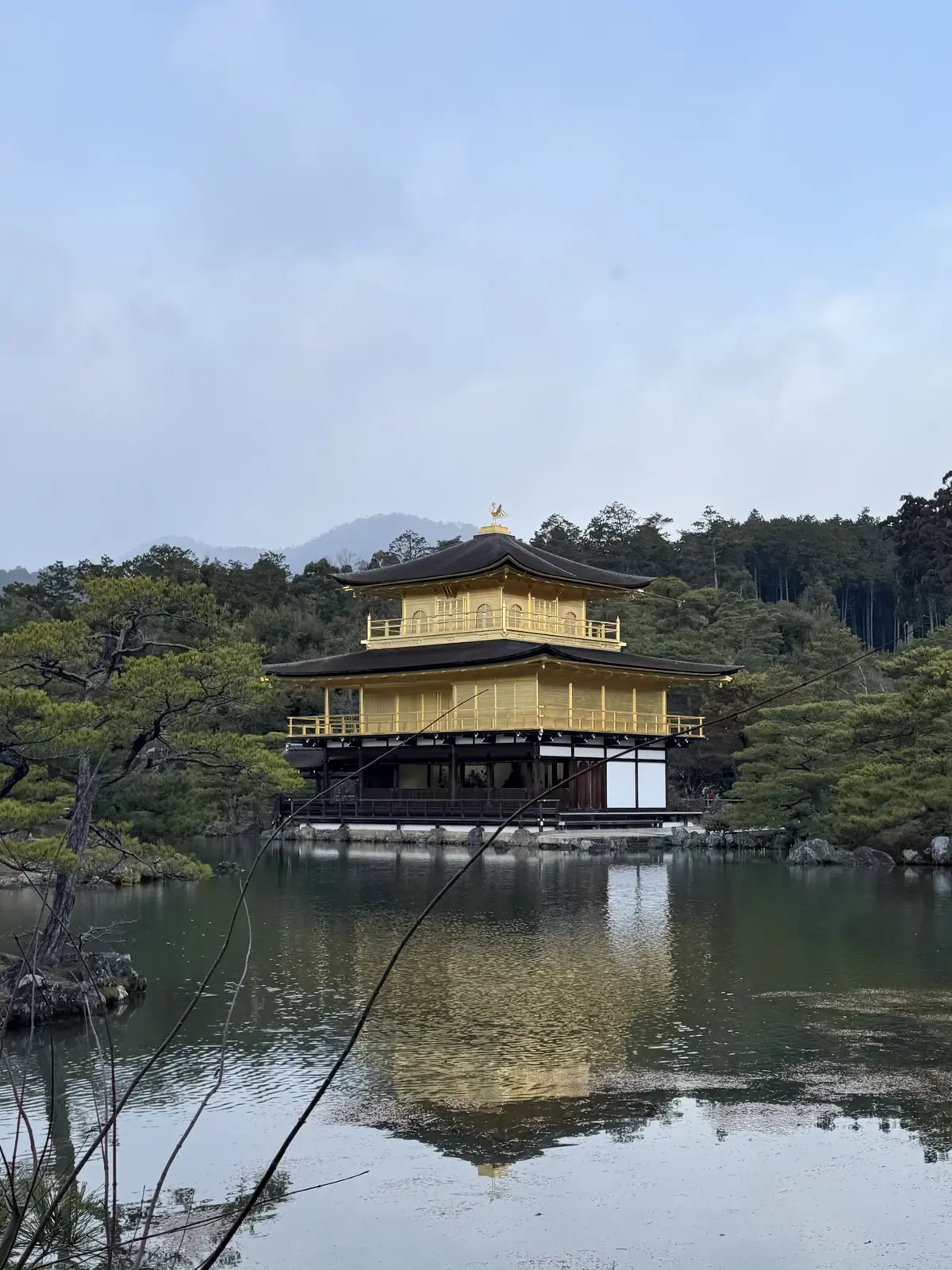  お正月の帰省と、京都で過ごした静かな時の画像_5