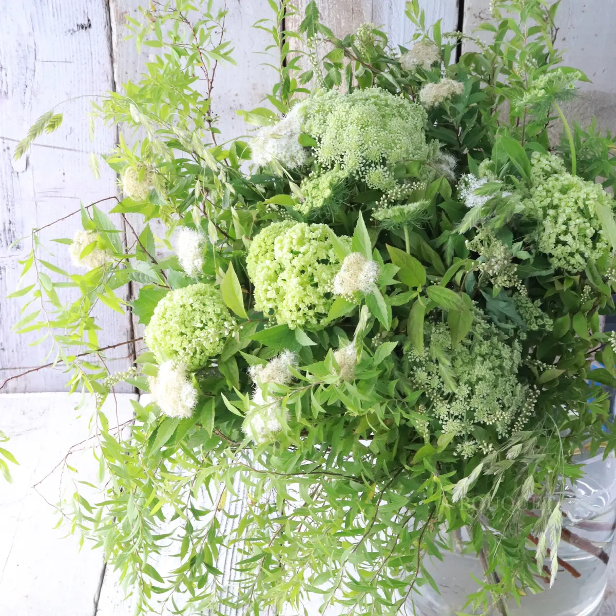 シャンペトルブーケ【Bouquet Chの画像_7