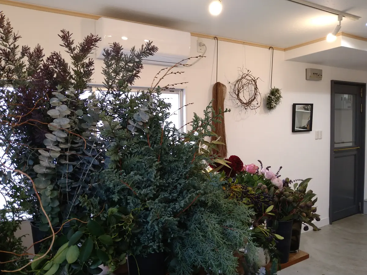 クスノキ　アパートメント　ネスト