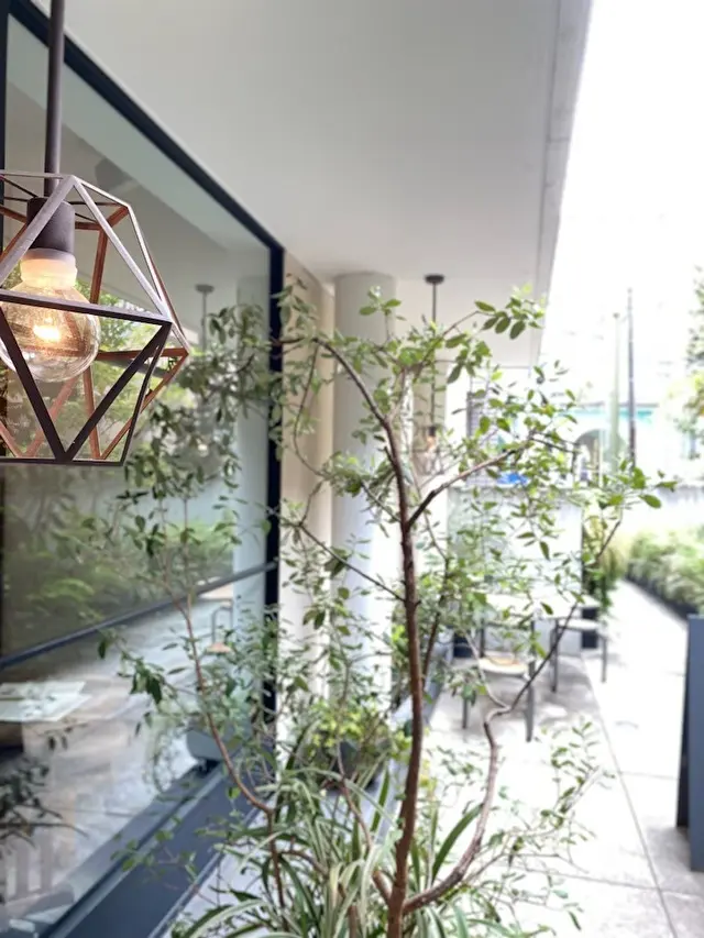 ブラウンライス