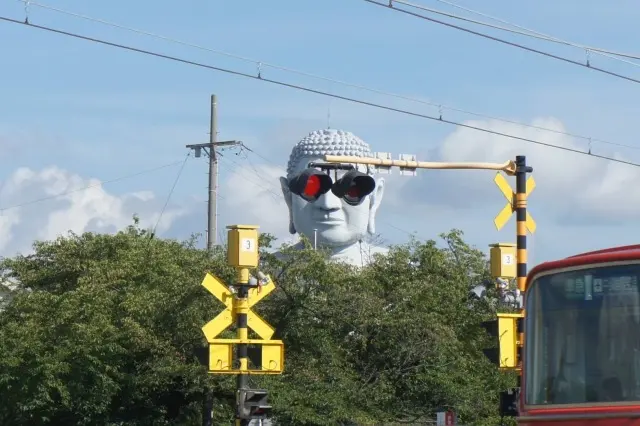 花言葉「あなたを歓迎します」の画像_11