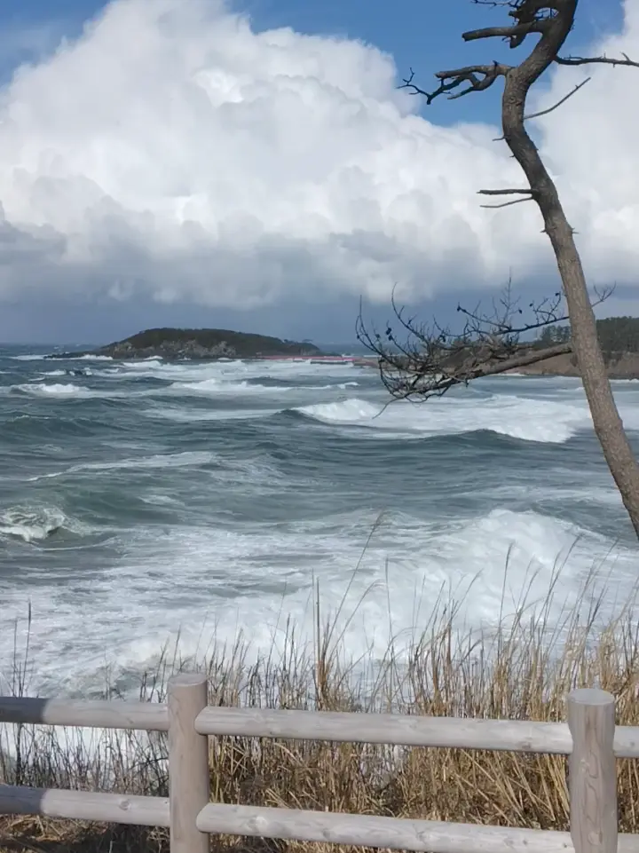 【福井】1泊2日弾丸グルメ旅♡の画像_14