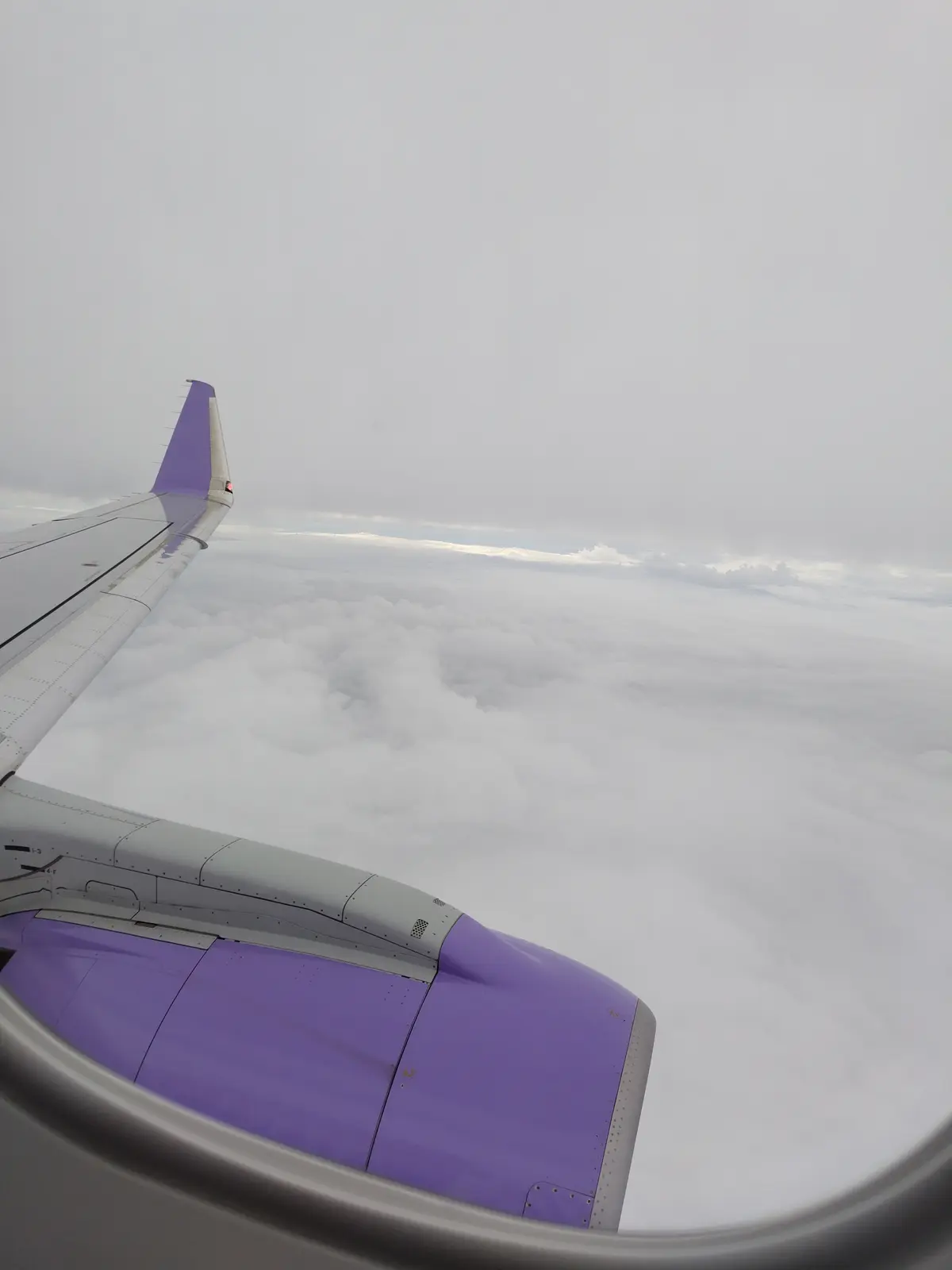 関西の実家へ✈の画像_17