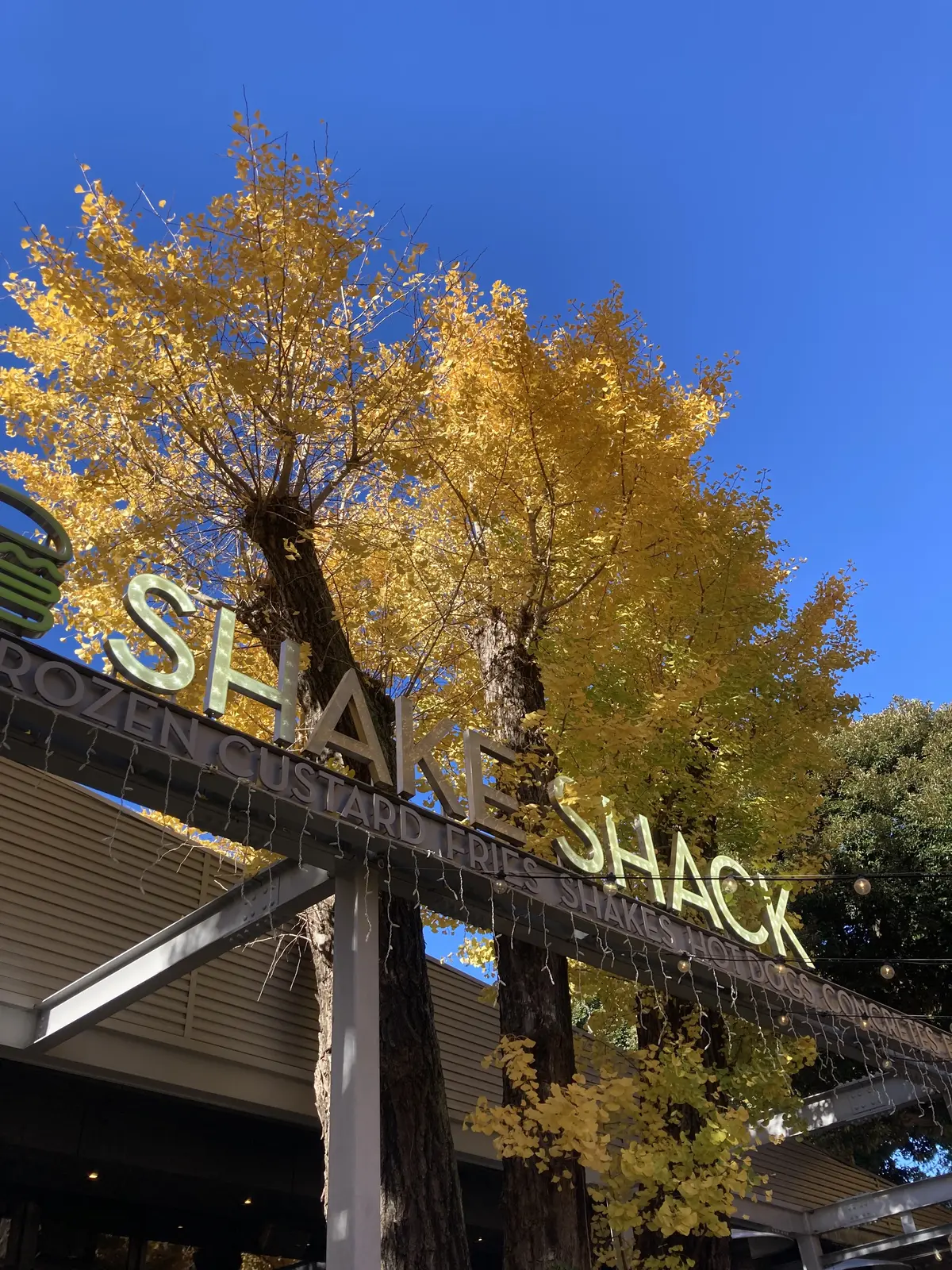 二泊三日の東京旅行とエクラ編集部主催のソの画像_7