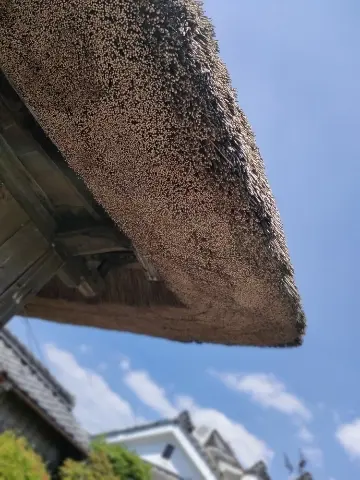 茅葺屋根を下から撮影しました。厚みに迫力があります。