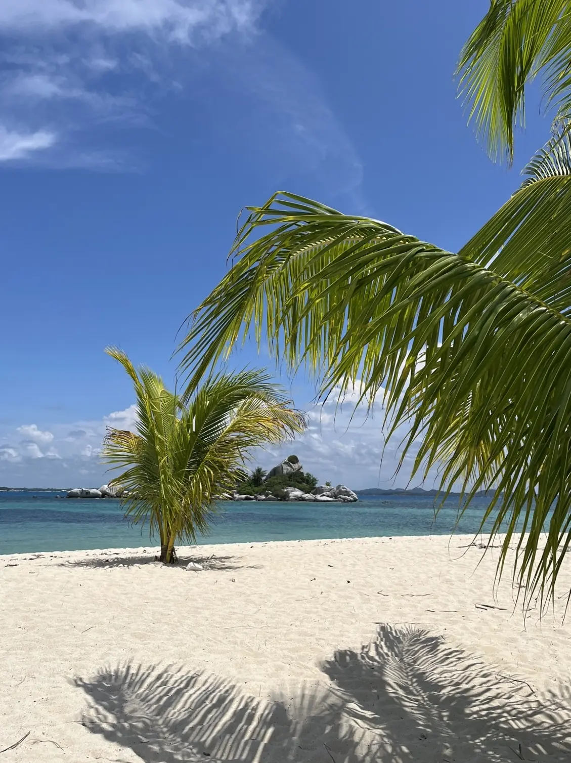 素晴らしい景色