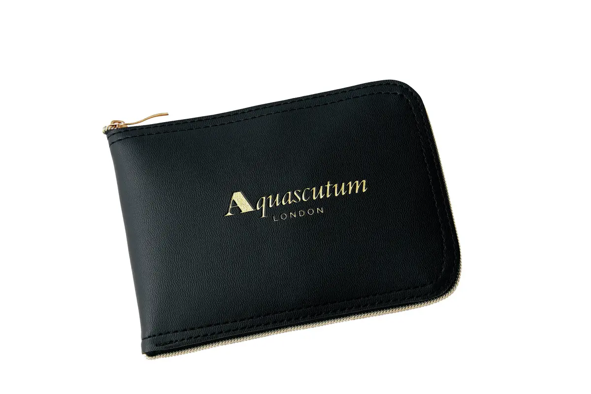 エクラ2025年10月号特別付録　アクアスキュータム×エクラ　トート　たたんだところ