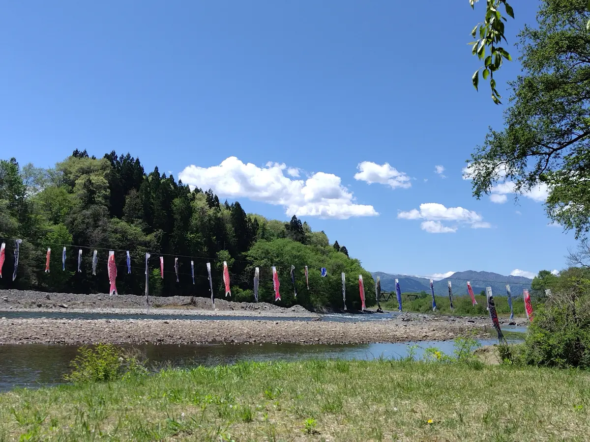 雫石川園地　鯉のぼり