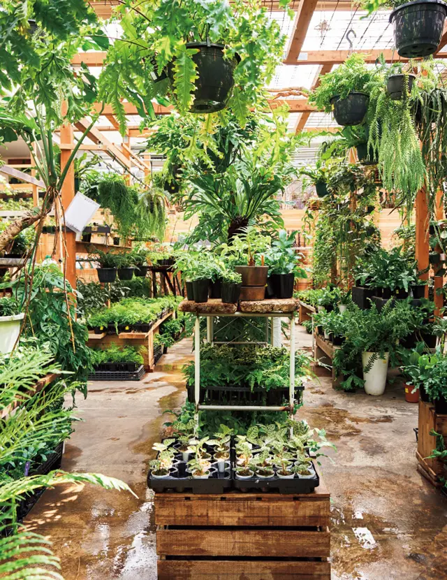 おすすめグリーンショップ　オザキフラワーパーク