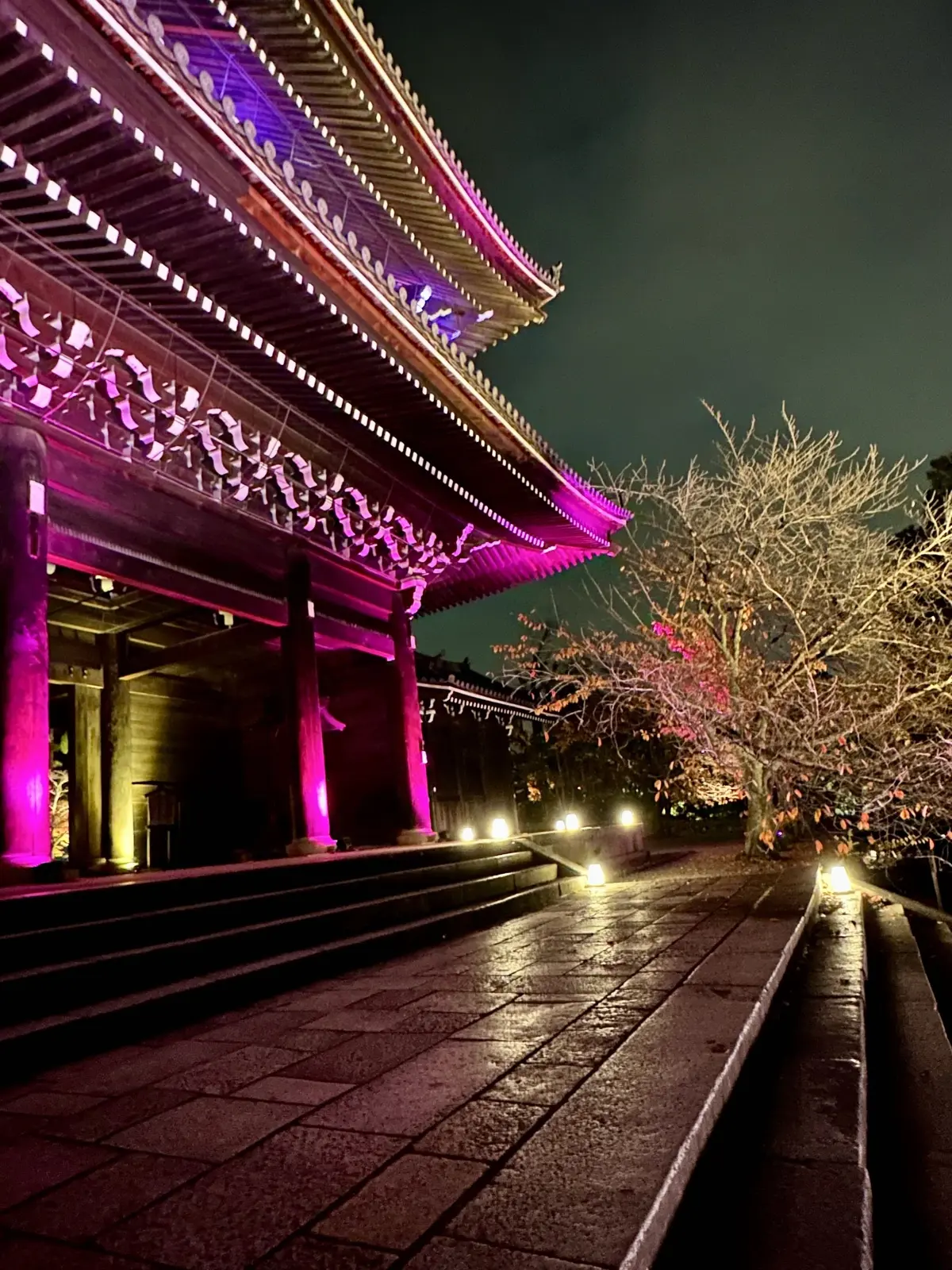 ずっと眺めていたくなる♡美しい京都紅葉2の画像_28