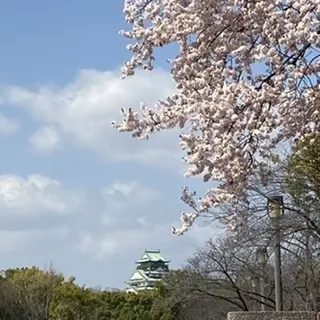 桜かと思いきやの画像_1